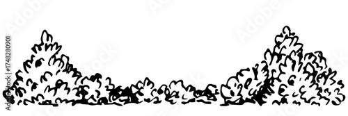 Bushes, forest vegetation, deciduous shrub. Nature and plants. Floral border, fence. Landscape design, gardening. Hand drawn vector drawing with black outline, ink sketch.