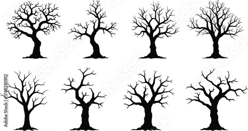  Leafless tree silhouettes, winter forest illustration, dead tree vector collection, spooky nature shapes, barren trees graphic art, isolated tree bundle design