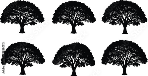  Large tree silhouette vector set, natural landscape illustration for forest design, environment, park, nature, outdoor scene, ecology, and botanical concept art.