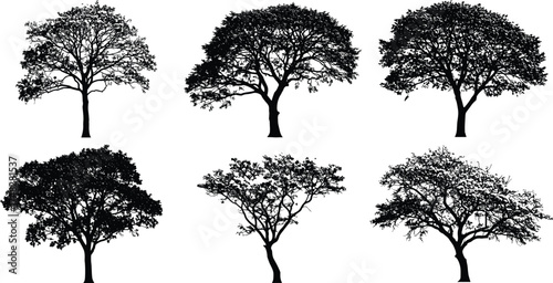  Silhouette tree collection, natural forest illustration, black tree shapes, landscape design elements, isolated vector trees, woodland art, nature graphic bundle, eco decor