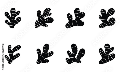 Black and white seamless pattern of stylized ginger root drawing