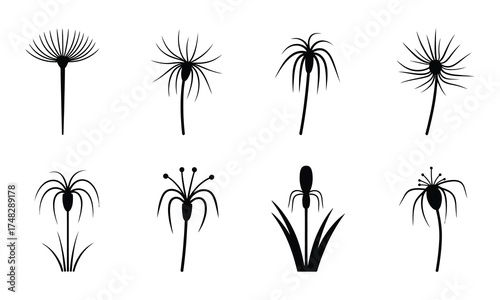 Botanical vector set with abstract floral designs in minimalist style