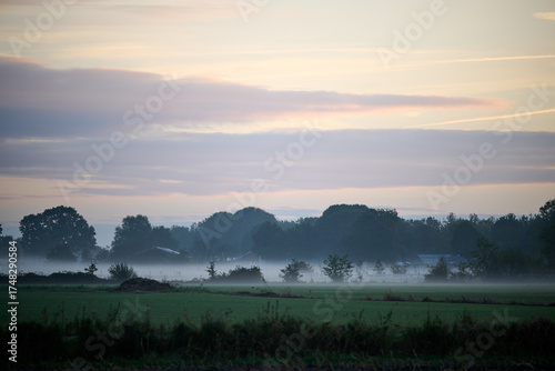 foggy morning in Sambeek , The Netherlands