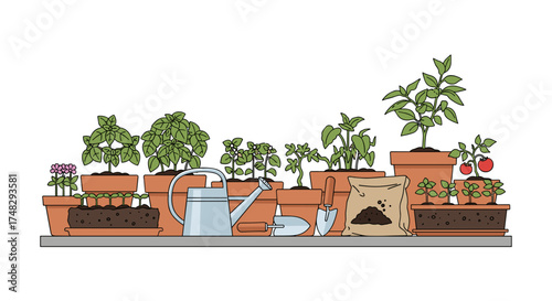 Home gardening and growing vegetables on a windowsill

