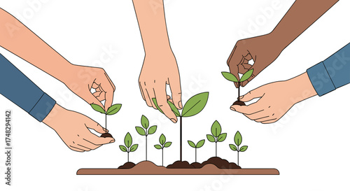 Diverse hands planting seedlings together for sustainable growth and a greener future