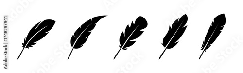 Bird feather icon silhouettes collection. Vector illustration. Flat isolated feather icons. Vector EPS 10