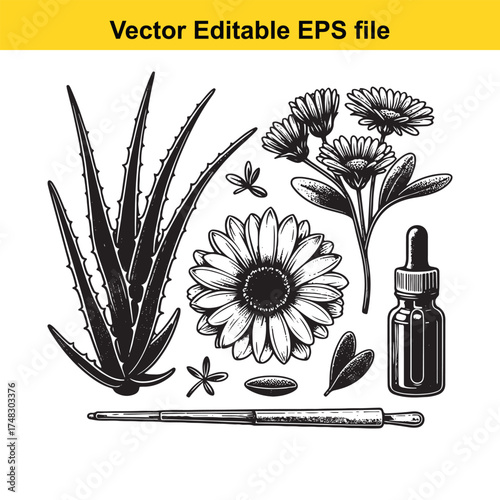 Vector art of aloe vera plant, flowers, and dropper bottle for natural skincare or wellness products