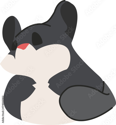 cute little chinchilla