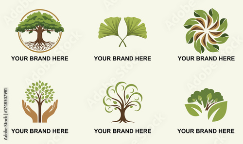 Premium Tree and Nature Logo Set - Eco-Friendly, Organic, Environment, and Health Brand Identity Collection with Ginkgo Leaves and Roots Vector