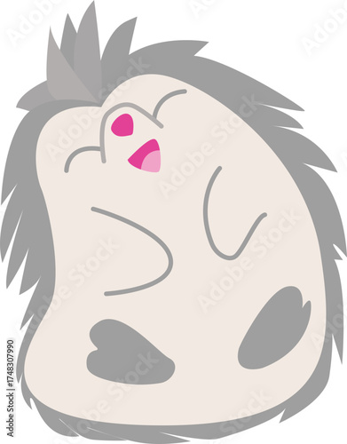 cute little hedgehog