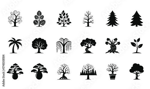 Diverse Tree Icon Set - Monochrome Vector Silhouettes of Broadleaf, Pine, Palm, Willow, and Bonsai Trees - Nature, Forest, and Ecology Collection
