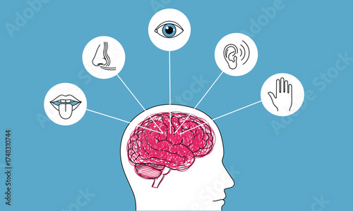 Exploring human perception with the five senses in an educational scientific concept visualization