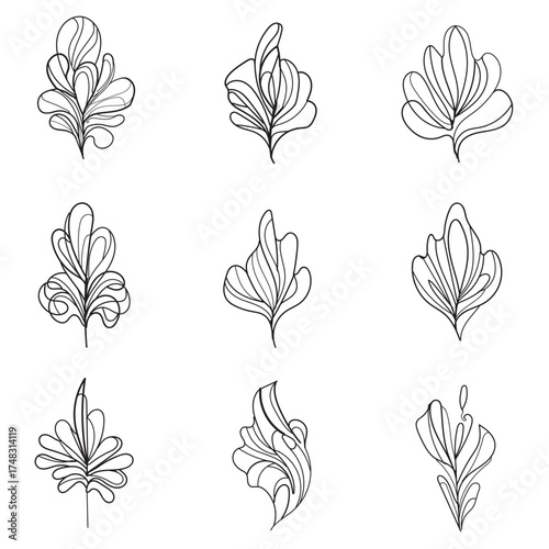 Collection of nine hand drawn botanical leaf illustrations in a sketch art style on a white background