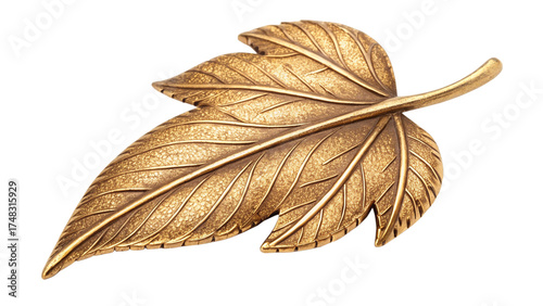 Detailed view of a golden leaf brooch isolated on a transparent background
