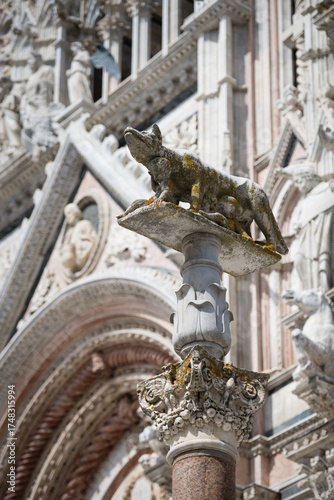 Sculpture of symbol of Siena - capitoline wolf breastfeeding Romulus and Remus on the column in front of the gothic Duomo di Siena cathedral, Tuscany, Italy