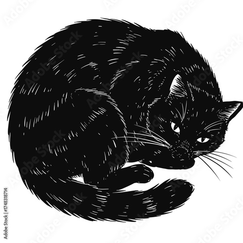 Black cat curled up in a relaxed position vector illustration on transparent background  