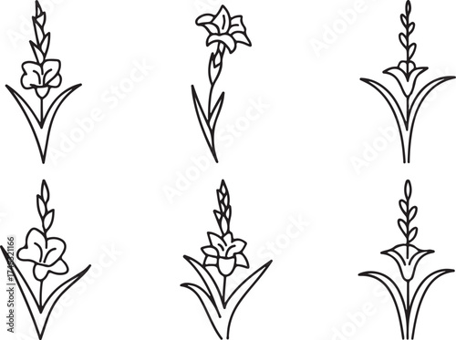 flower, herbal, botanical, icon, set, outline, minimalist, simple, elegant, modern, nature, plant, floral, spring, summer, garden, decorative, ornamental