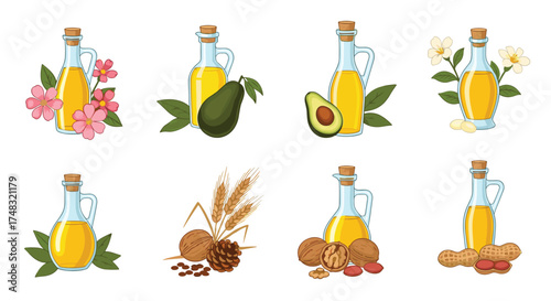 Collection of natural oils derived from various plant sources.
