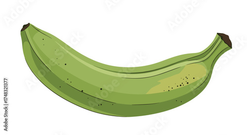 A single green banana is presented on a white background.