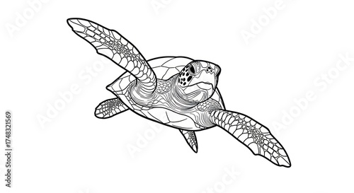 Wallpaper Mural Detailed line drawing of a sea turtle in motion, with intricate shell patterns Torontodigital.ca
