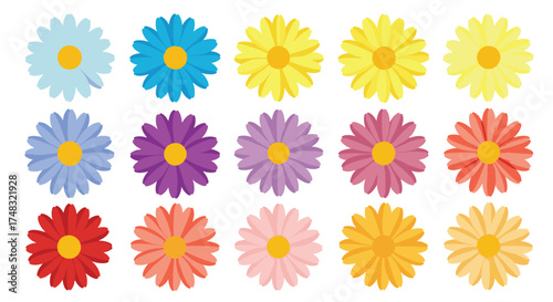 A vibrant collection of colorful daisy flowers in a grid arrangement.