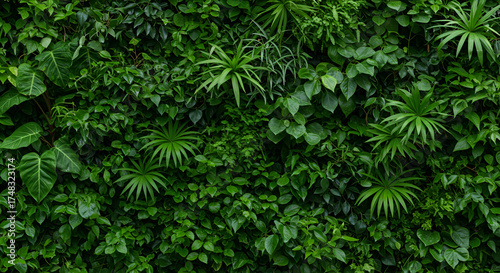 Lush green vertical garden wall with tropical plants and vibrant foliage