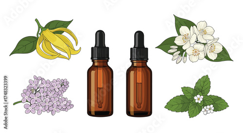 Essential oil extraction and aromatic botanical ingredients for wellness.