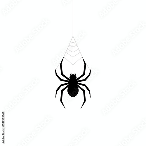 Spider hanging on a web, black silhouette on white background.