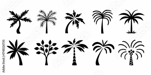 Collection of diverse black palm tree silhouettes isolated on a white background