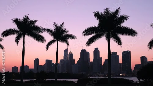 Iconic city skyline silhouetted by palm trees at sunset, offering a tropical yet urban travel destination experience