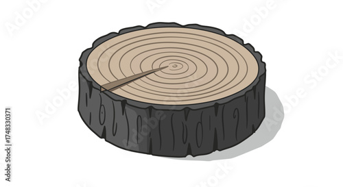 Hand drawn tree stump with detailed annual rings on white background