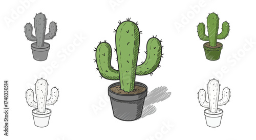 Hand-drawn potted cactus collection in sketch and color variations