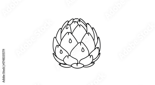 A line art drawing of a single artichoke on a white background.