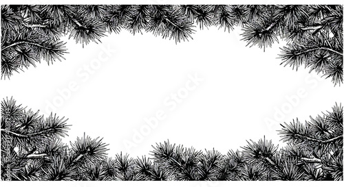 Monochrome pine tree branches frame with blank center for text