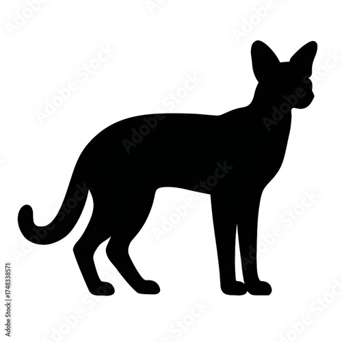 Serval silhouette vector style