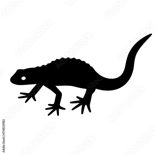 Alpine newt silhouette vector style