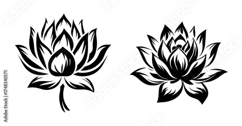 Artistic black and white stylized lotus flowers pair delicate floral design elements for creative projects