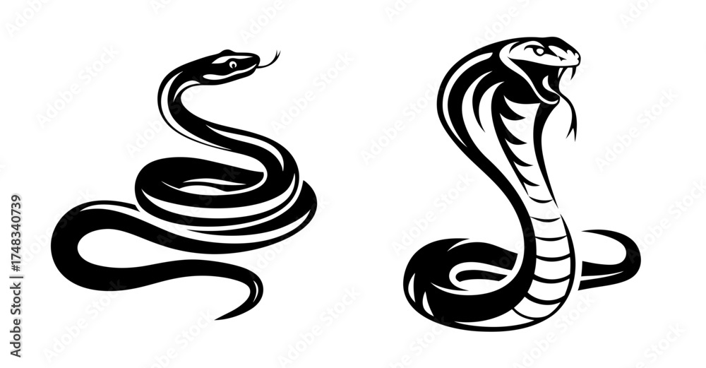 Obraz premium Dynamic duo of serpents two distinct snake silhouettes ready to strike and charm