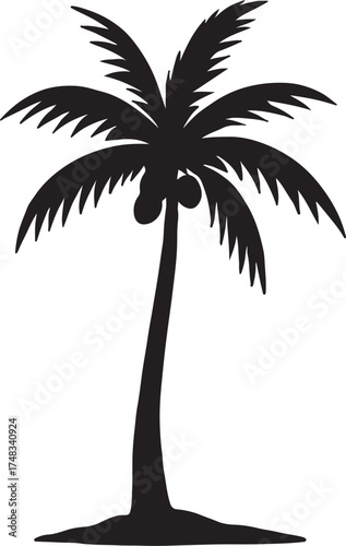 Coconut tree yielding coconuts- নারিকেল গাছ