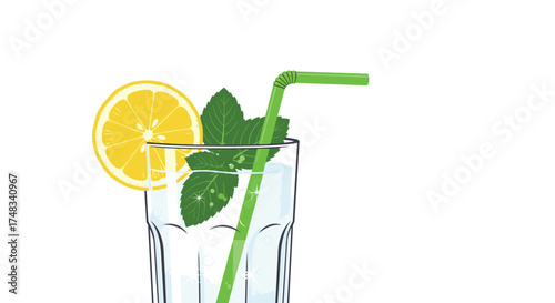 A refreshing glass of lemonade with a slice of lemon and mint garnish for a cool summer drink.