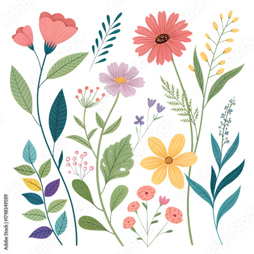 Individual watercolor flowers set – isolated botanical PNG clipart