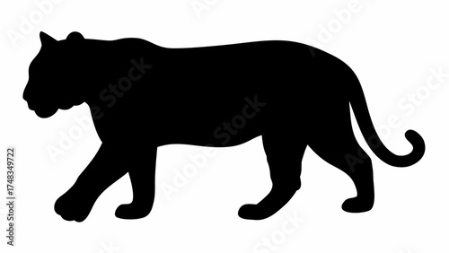 Silhouette of a panther walking with its tail curled up and a black color on a white background image