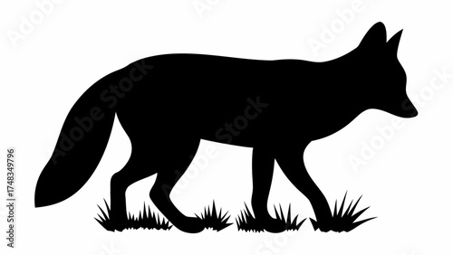 Silhouette of a fox walking on grass with a bushy tail and pointed ears in a simple black and white design