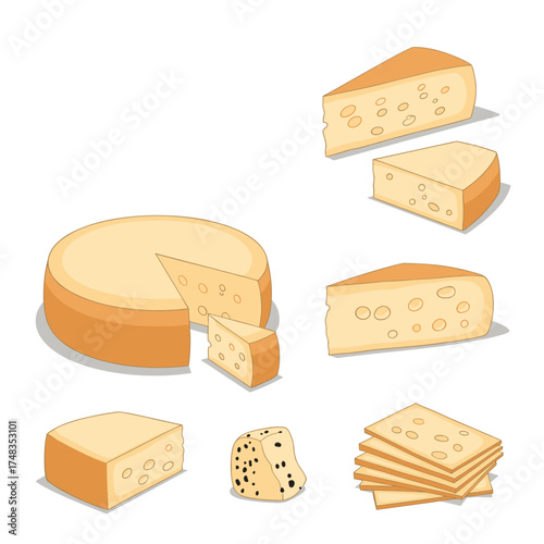 Delicious dairy product various cheese slices wedges and rounds collection.