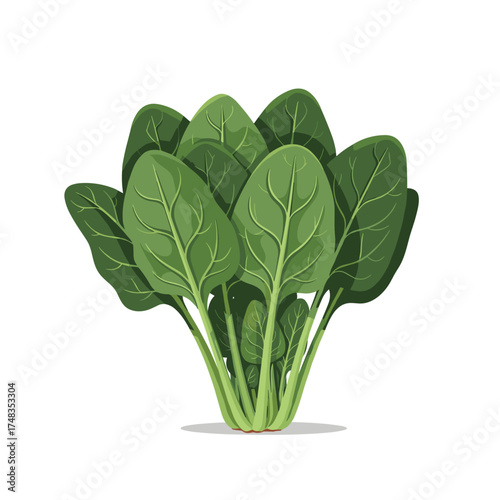 Fresh green spinach leaves a healthy plant-based food option for nutritious meals.