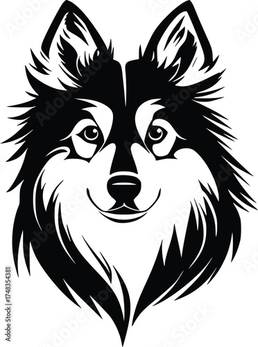 Icelandic Sheepdog head silhouette with pointed ears, thick coat, and alert gaze in black vector