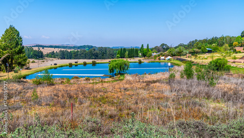 A view across the veldt towards a fly fishing pond in Dullstroom, South Africa in Springtime