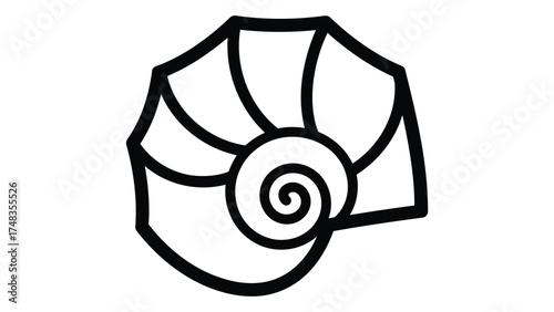 Hand drawn doodles seashell icon outline isolated on white background