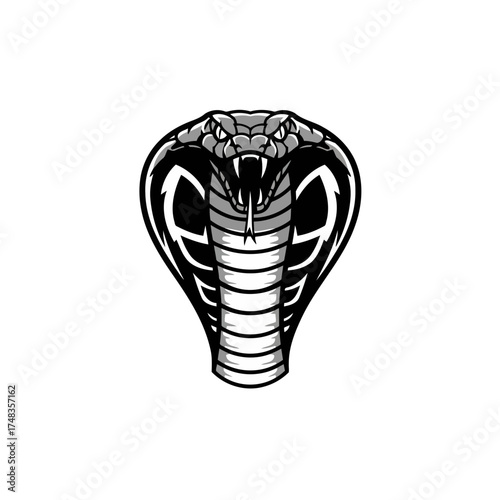 Fierce Monochrome Cobra Head Vector Illustration with Aggressive Fangs
