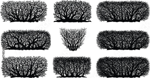  Hedge and bush silhouettes collection, garden shrub vector illustration, trimmed foliage shapes set for landscape design, greenery elements, natural decoration, eco landscaping art